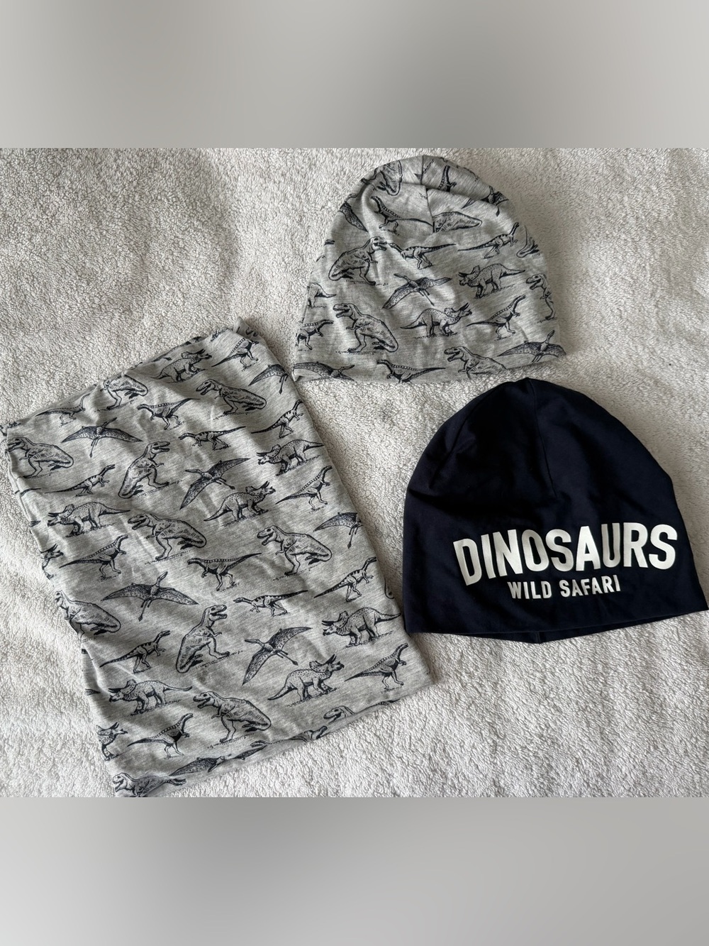 H&M Gray Dino Print Beanie & Navy 'DINOSAUR' Beanie Set